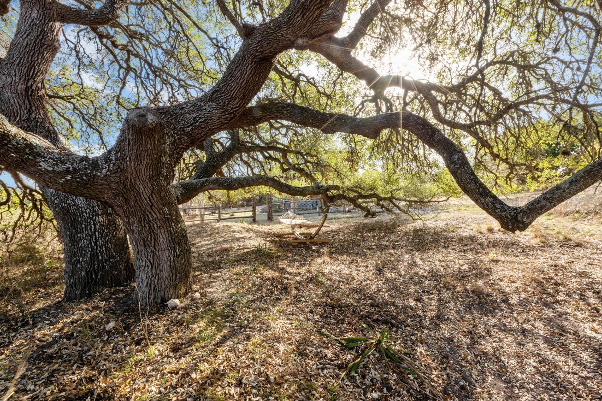 Mighty Oak Log Cabin Fredericksburg Bagian luar foto
